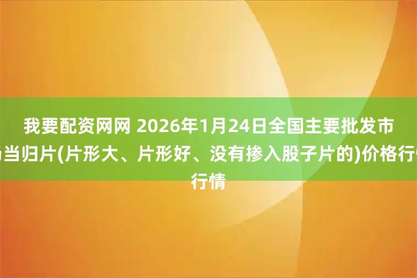 我要配资网网 2026年1月24日全国主要批发市场当归片(片形大、片形好、没有掺入股子片的)价格行情