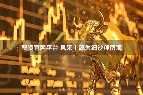 配资官网平台 风采丨愿为细沙伴南海