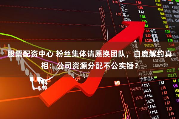 股票配资中心 粉丝集体请愿换团队，白鹿解约真相：公司资源分配不公实锤？